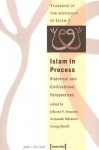 Islam in Process: Historical and Civilizational Perspectives - Johann P. Arnason