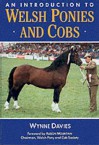 An Introduction to Welsh Ponies & Cob - Wynne Davies, Paul Saunders, Alison Mountain