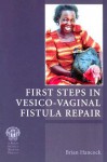 First Steps in Vesico-Vaginal Fistula Repair - Brian Hancock