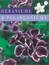 Geraniums and Pelargoniums - John Feltwell