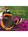 Listen-Read-Think Science: Life Cycles: Caterpillar to Butterfly - Terry J. Jennings