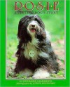 Rosie: A Visting Dog's Story - Stephanie Calmenson, Justin Sutcliffe