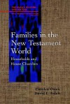 Families in the New Testament World: Households and House Churches (Family, Religion, and Culture) - Carolyn Osiek, David L. Balch