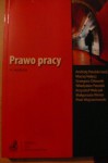 Prawo pracy - Krzysztof Walczak, Andrzej Patulski, Maciej Nałęcz, Grzegorz Orłowski, Władysław Patulski, Małgorzata Winter, Piotr Wojciechowski