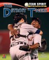 The Detroit Tigers - Mark Stewart