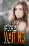 Waiting: A PAVAD: FBI Prequel (PAVAD: FBI Romantic Suspense Book 1) - Calle J. Brookes