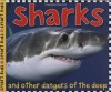 Sharks (Priddy Books Big Ideas for Little People) - Roger Priddy