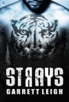 Strays (Urban Soul) (Volume 2) - Garrett Leigh