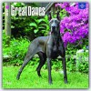 Great Danes 2017 Square (Multilingual Edition) - BrownTrout