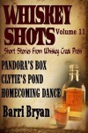 Whiskey Shots Volume 11 - Barri Bryan
