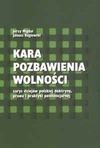 Kara pozbawienia wolności- zarys dziejów polskiej doktryny, prawa i praktyki penitencjalnej - Jerzy Migdał, Janusz Raglewski