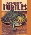 Sturdy Turtles - Kathleen Martin-James, Lerner Publishing Group