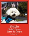 Tristan Trabaja Como Perro de Terapia - Trudee Lewis, Joanne Yates Phd, Beth Rodda