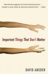 Important Things That Don't Matter - David Amsden