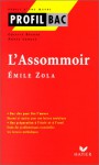 Émile Zola "L'Assommoir" - Colette Becker