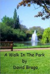 A Walk In The Park - David Braga