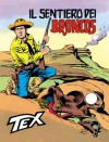 Tex n. 188: Il sentiero dei Broncos - Gianluigi Bonelli, Erio Nicolò, Alberto Giolitti (Gilbert), Giovanni Ticci, Aurelio Galleppini
