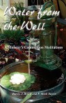 Water From The Well: A Minister's Communion Meditations - Darris J. Brock, P. Mark Taylor