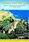 Islands and the Sea: Essays on Herpetological Exploration in the West Indies - Robert Powell, Robert W. Henderson