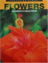 Capturing Hawaii Flowers - Mutual Publishing Company