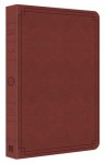 KJV Thin Line Flexible DiCarta - Barbour Publishing Inc.