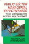 Public Sector Managerial Effectiveness: Theory and Practice in the National Health Service - Hugh Flanagan, P. Spurgeon