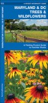 Maryland & DC Trees & Wildflowers: A Folding Pocket Guide to Familiar Species - James Kavanagh, Raymond Leung