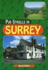 Pub Strolls in Surrey (Pub Strolls) - David Weller