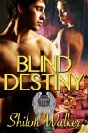 Blind Destiny (Grimm's Circle) - Shiloh Walker