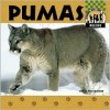 Pumas - Anne Welsbacher