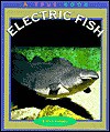 Electric Fish - Elaine Landau