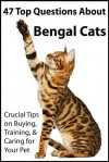 47 Top Questions About Bengal Cats: Crucial Tips on Buying, Training, and Caring for Your Pet - Lauren Taylor