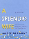 A Splendid Wife - Amber Dermont