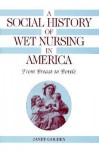 A Social History of Wet Nursing in America: From Breast to Bottle - Janet Lynne Golden