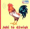 Jaki to dźwięk - Jarosław Kopała