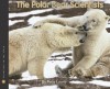 The Polar Bear Scientists (Scientists in the Field Series) - Peter Lourie