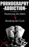 Pornography Addiction: Destroying the Habit & Breaking the Cycle - Jay Anthony