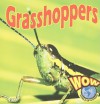 Grasshoppers - Heather C. Hudak