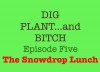 The Snowdrop Lunch - 5 (Dig, Plant and Bitch - the Soap Opera for Gardeners) - Noel Kingsbury