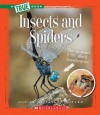 Insects and Spiders - Christine Taylor-Butler
