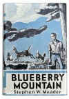 Blueberry Mountain - Stephen W. Meader, Edward Shenton