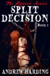 Split Decision - Andrew Harding