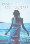 Beside Still Waters - Barry Callaghan