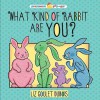 What Kind of Rabbit Are You? (Preschool Pop-Ups) - Liz Goulet Dubois