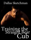 Training the Straight Bear Cub - Dallas Sketchman