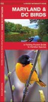 Maryland & DC Birds: A Folding Pocket Guide to Familiar Species - James Kavanagh