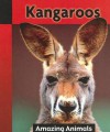 Kangaroos - Anna Rebus