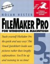 FileMaker Pro 5.5 for Windows & Macintosh Visual QuickStart Guide - Nolan Hester