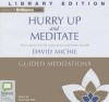 Hurry Up and Meditate Guided Meditations - David Michie