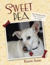 Sweet Pea: The Homeless Dog Who Could Not Be Caught - Karen Scott